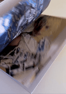 4X4 EPISODE 1 PUBLICATION